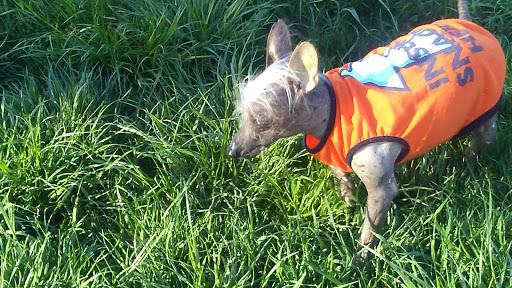 Park «Sargent Park», reviews and photos, 3530 E Douglas Ave, Des Moines, IA 50317, USA