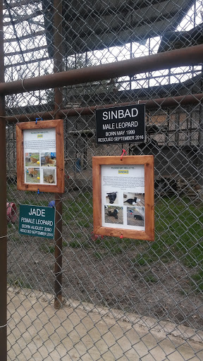 Wildlife Rescue Service «In-Sync Exotics», reviews and photos, 3430 Skyview Dr, Wylie, TX 75098, USA