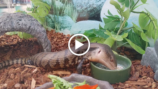 Pet Supply Store «Petco Animal Supplies», reviews and photos, 106 N Denton Tap Rd #310, Coppell, TX 75019, USA