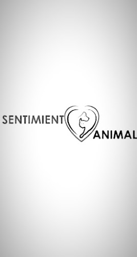 Opiniones de Asociación Sentimiento Animal en Sullana - Asociación
