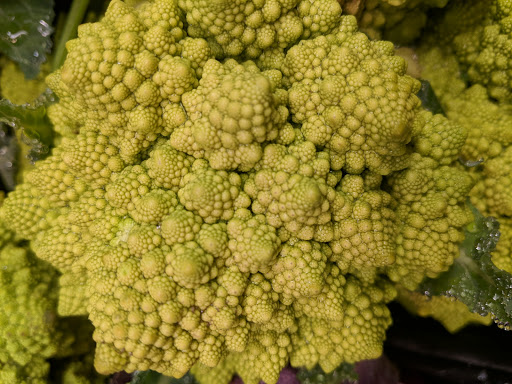 Natural Foods Store «Food Conspiracy Co-op», reviews and photos, 412 N 4th Ave, Tucson, AZ 85705, USA