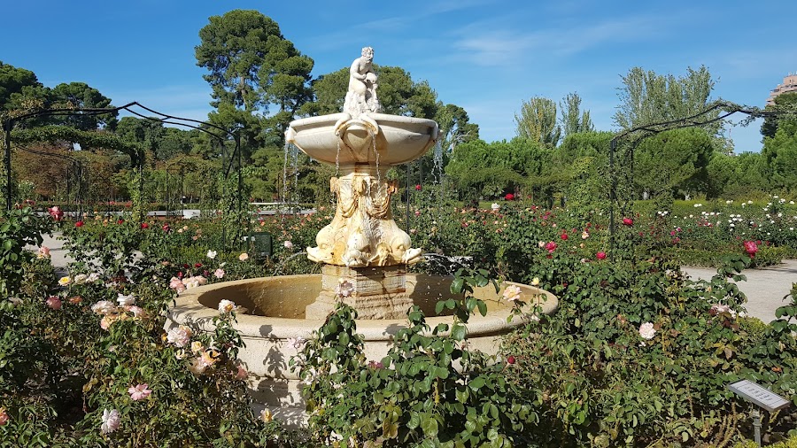 La Rosaleda (Cecilio Rodríguez)