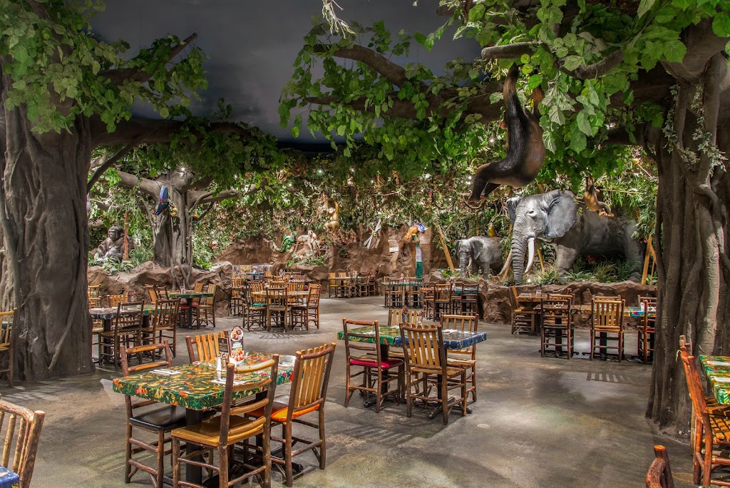 Rainforest Cafe 91764