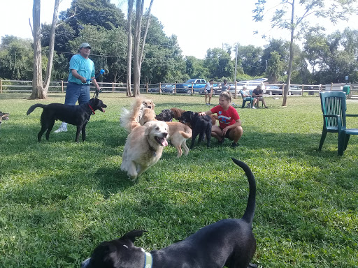 Dog Park «Portsmouth RI Dog Park», reviews and photos, 77 Bradford Ave, Portsmouth, RI 02871, USA