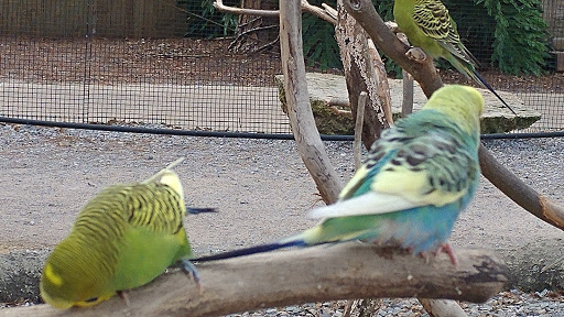 Zoo «ZooWorld Zoological and Botanical Conservatory», reviews and photos, 9008 Front Beach Rd, Panama City Beach, FL 32407, USA