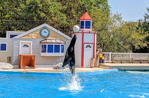 Zoo «Oceans of Fun», reviews and photos, 10001 W Bluemound Rd, Milwaukee, WI 53226, USA