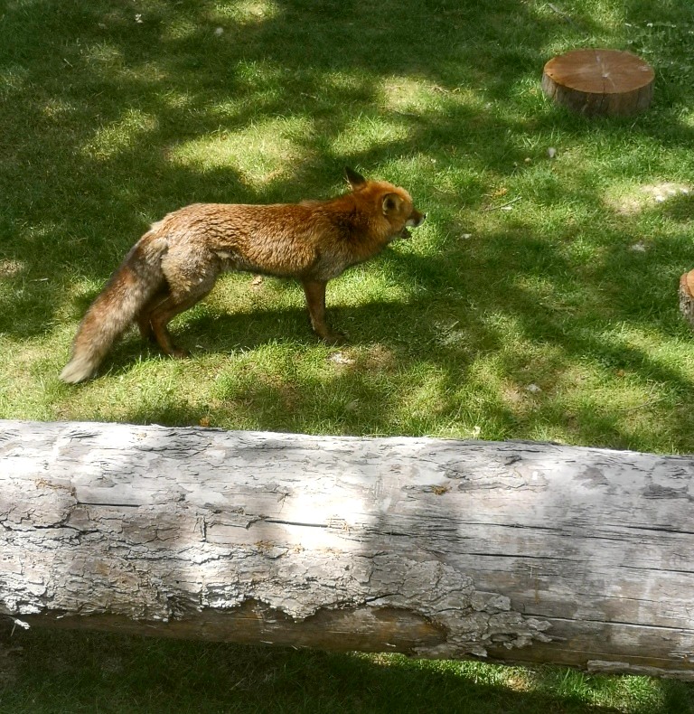 Photo n° 15 de l'avis de Thierry.E fait le 17/06/2022 à 17:40