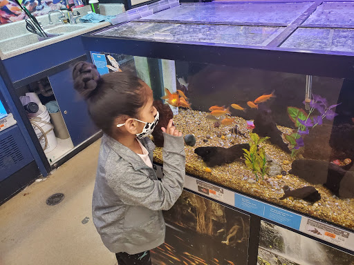 Pet Supply Store «Petco Animal Supplies», reviews and photos, 1215-1309 NJ-33 #1, Hamilton Township, NJ 08690, USA