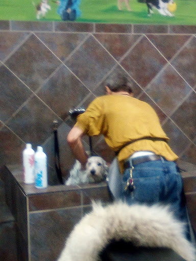 Pet Store «Pet Valu», reviews and photos, 604 Plaza Dr, Newark, DE 19702, USA