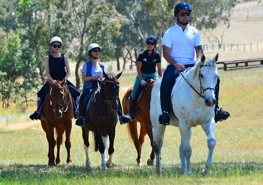 Megan Jones Equestrian Training