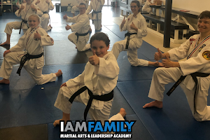 IAMFamily Martial Arts and Leadership Academy / Spring’s BEST Afterschool and Summer camp image
