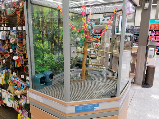 Pet Supply Store «Petco Animal Supplies», reviews and photos, 11147 Park Blvd N, Seminole, FL 33772, USA