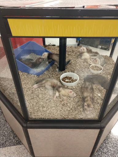 Pet Supply Store «Petco Animal Supplies», reviews and photos, 1401 E Spring Valley Rd, Richardson, TX 75081, USA