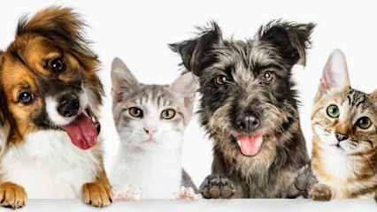 Peluqueria Y Clinica Veterinaria Mundo Chic Mascotas Limitada