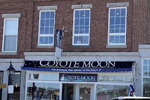 Coyote Moon image