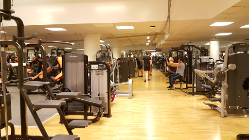Cycle classes Stockholm