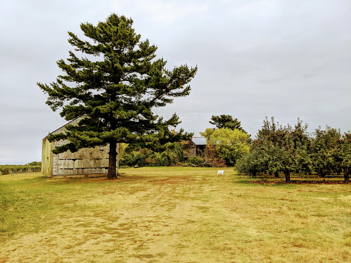 State Park «Monmouth Battlefield State Park», reviews and photos, 16 Business Route 33, Manalapan Township, NJ 07726, USA