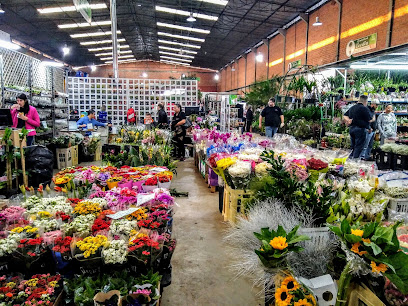 Mercado De Flores - Ceasa - BR 116 - Km 111, Nº 22.881, Curitiba, State of  Paraná, BR - Zaubee