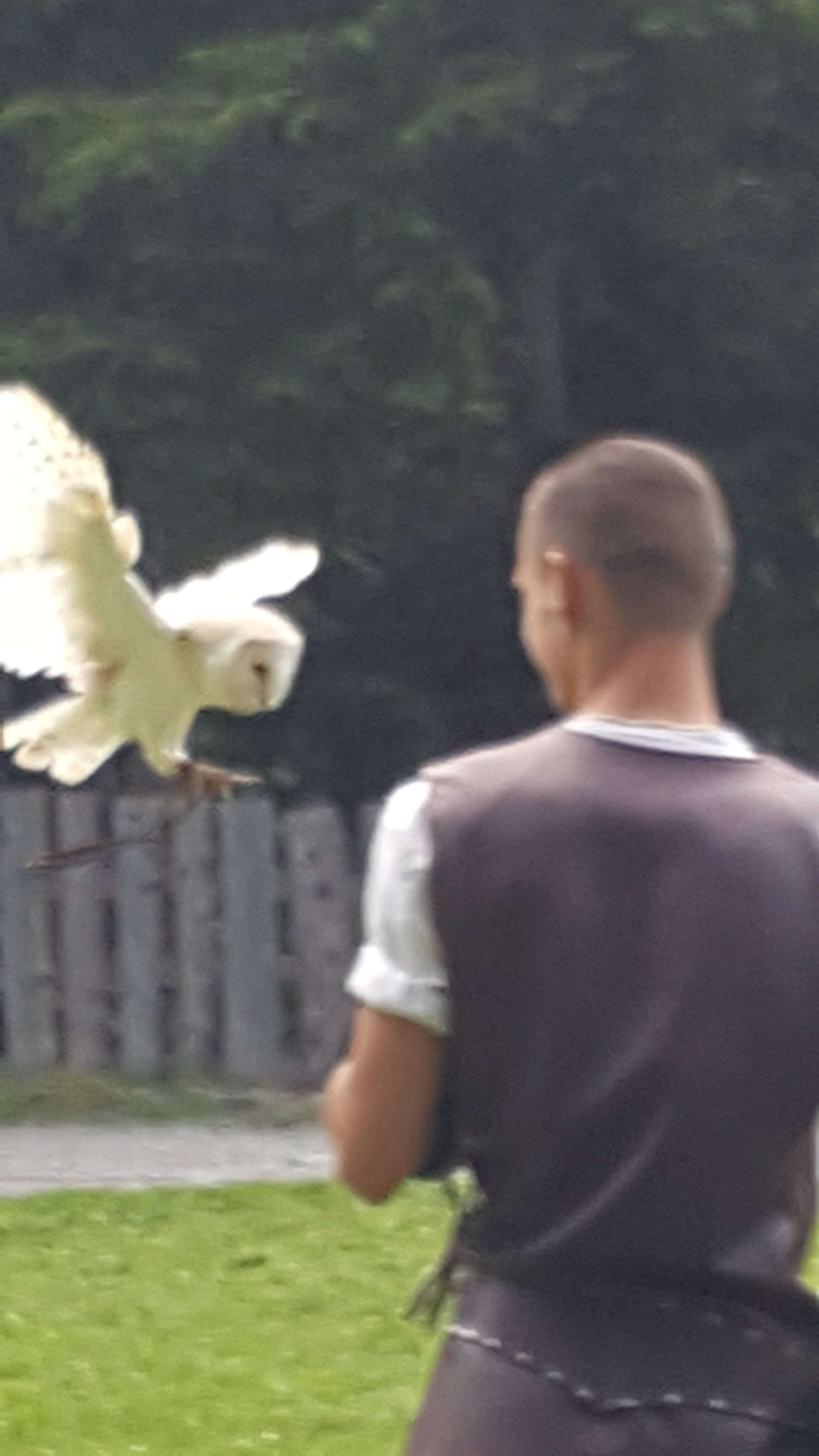 Photo n° 2 de l'avis de Fabrice.u fait le 28/07/2020 à 13:09