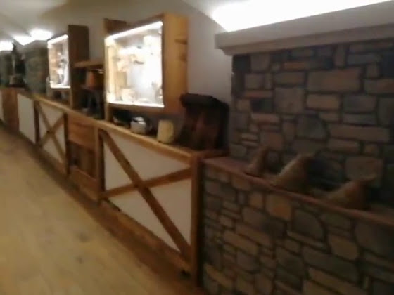 Vidéos hôtels Hotel Arnika Wellness - Passo San Pellegrino (tn) 38035 San Pellegrino