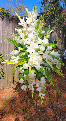 Florist «Moates Florist», reviews and photos, 5034 N Nebraska Ave, Tampa, FL 33603, USA