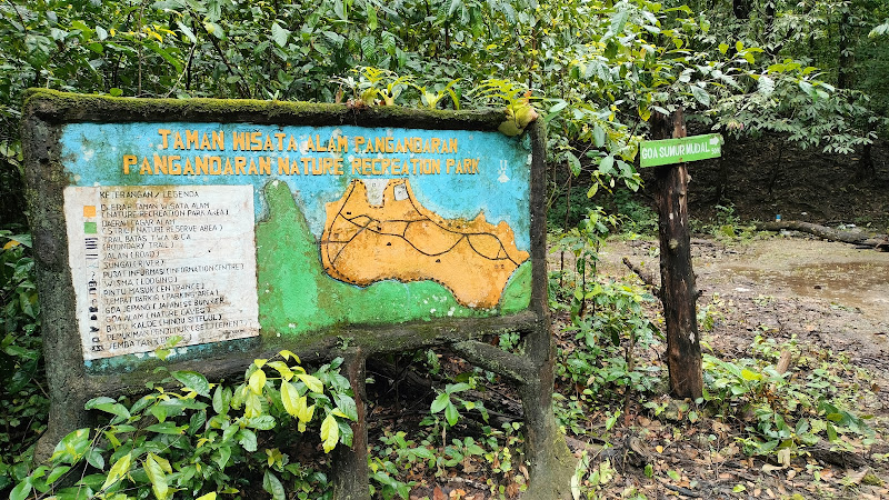 Mengungkap Keindahan Hutan Nasional di Kabupaten Pangandaran: Lokasi yang Wajib Dikunjungi
