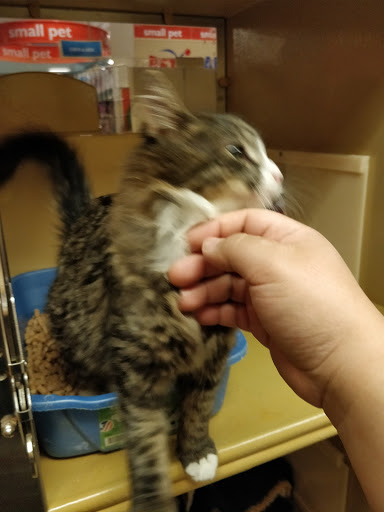 Pet Supply Store «PetSmart», reviews and photos, 241 Airport Plaza Blvd, Farmingdale, NY 11735, USA