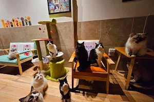 Cat Cafe Melbourne image