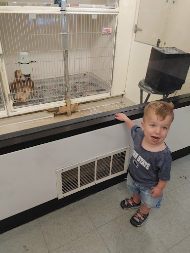 Pet Supply Store «Your Pet Experts», reviews and photos, 1665 State Hill Rd #490, Wyomissing, PA 19610, USA