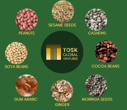Tosk Global Ventures Limited