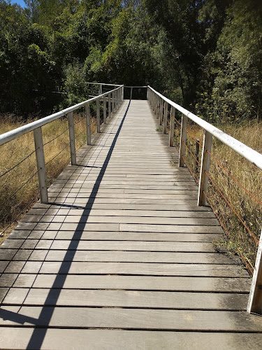 Baloiços parque corgo - Campo de futebol