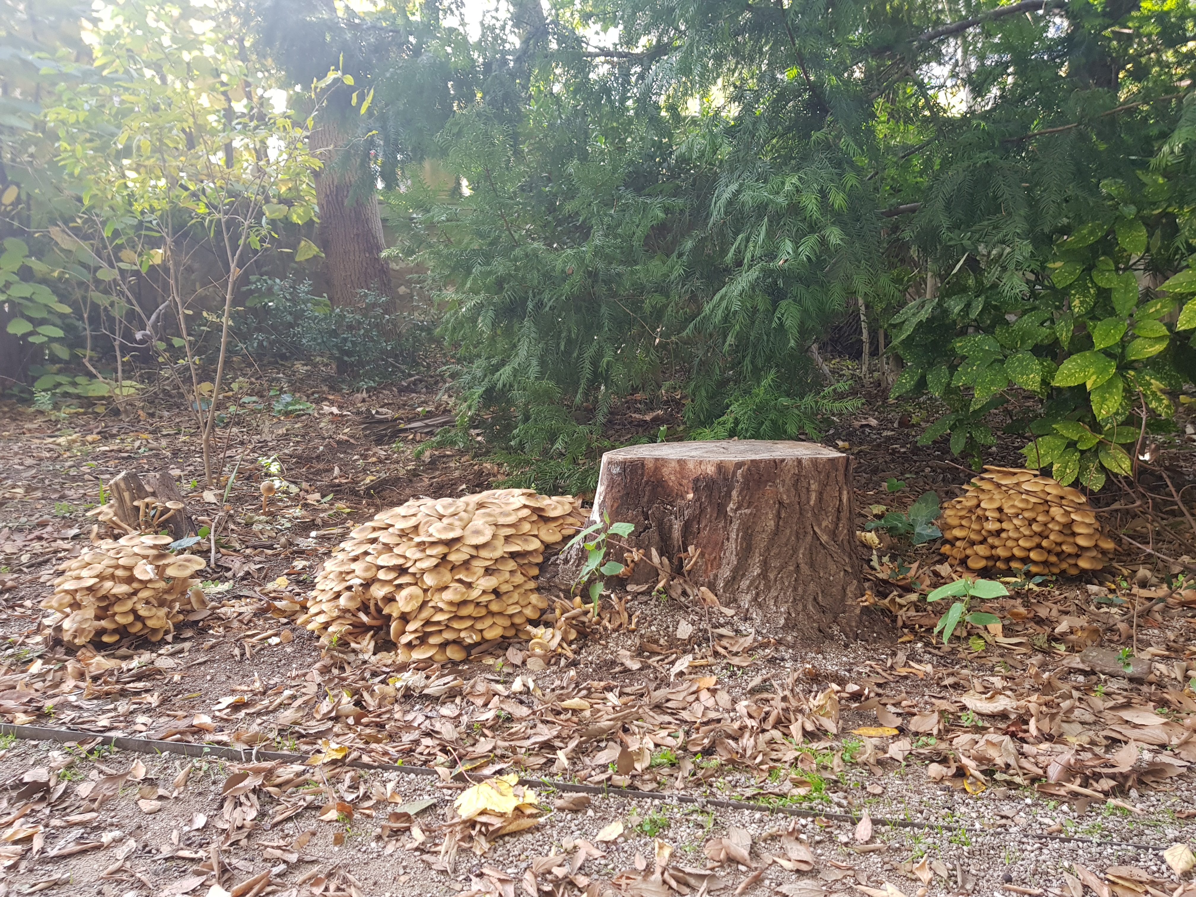 Photo n° 1 de l'avis de enzio.a fait le 12/12/2018 à 07:43