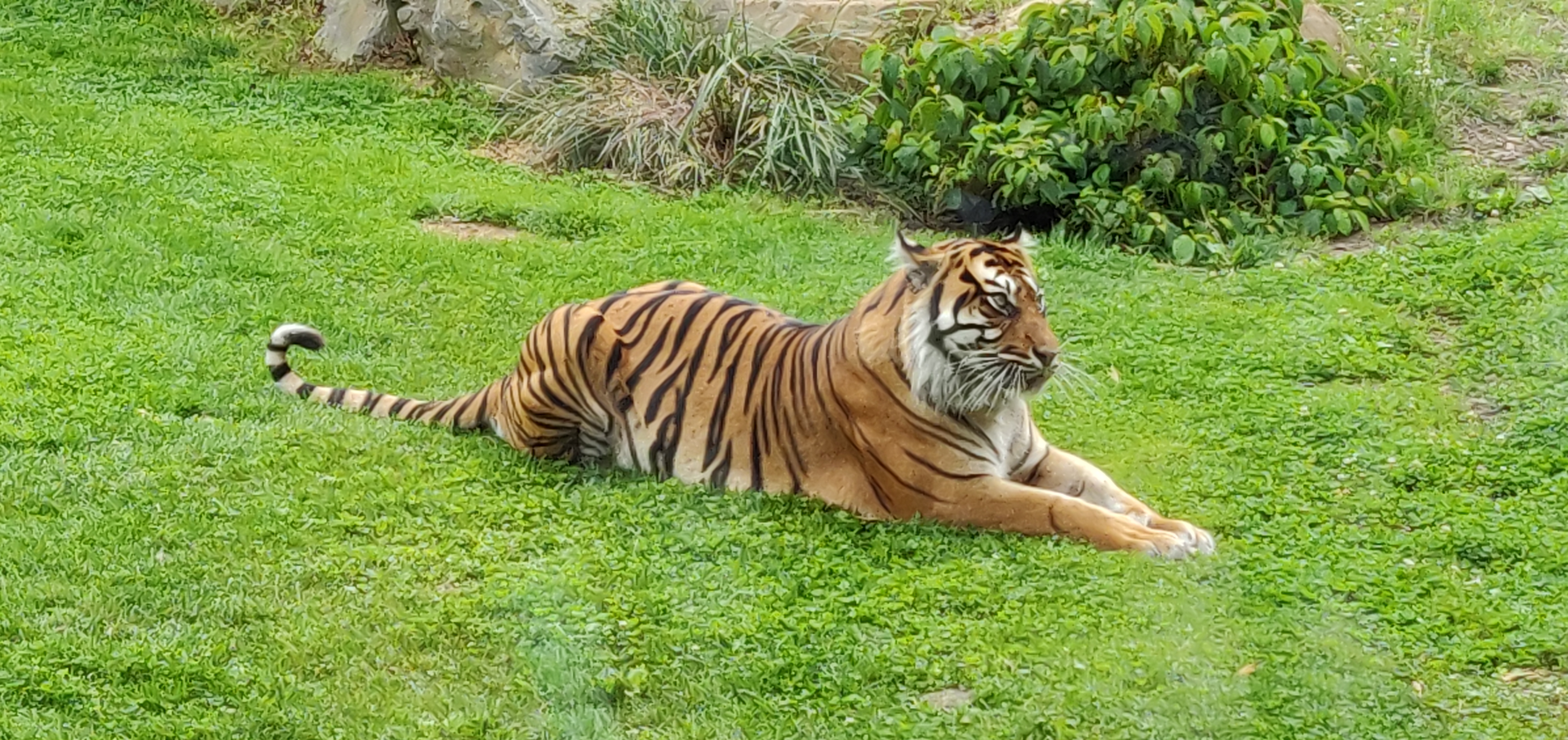 Photo n° 42 de l'avis de CHRISTIAN.A fait le 16/08/2019 à 16:59