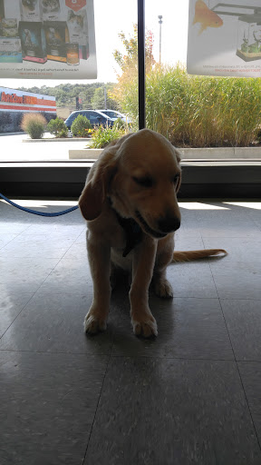 Pet Supply Store «Pet Supplies Plus», reviews and photos, 646 Long Hill Rd, Groton, CT 06340, USA
