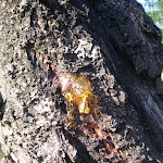 Photo n°2 de l'avis de Pap.o fait le 03/07/2019 à 10:32 sur le  Rifugio Fantorno à Monghidoro