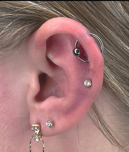 Explore bear tattoos ideas, creative tattoo ideas in Harrisonburg, available at Alley Cat Tattoo