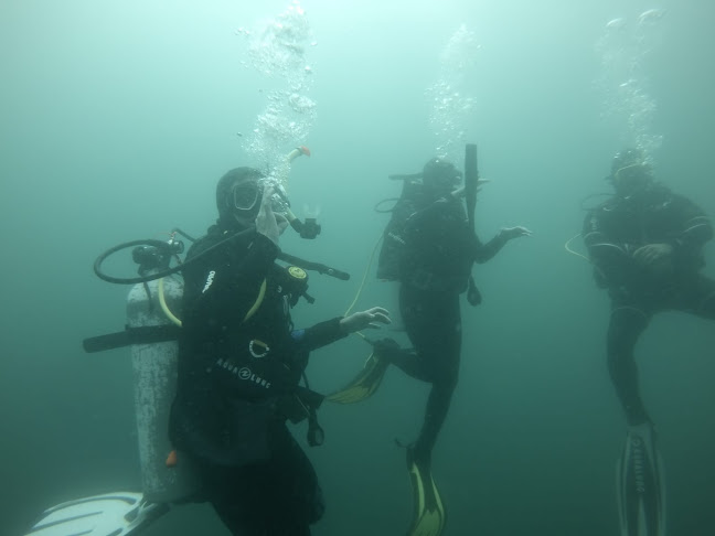Opiniones de Austral Divers en Casablanca - Agencia de viajes