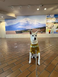 十国峠登り口 (バス停)
