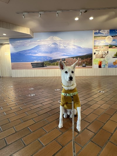 十国峠登り口 (バス停)