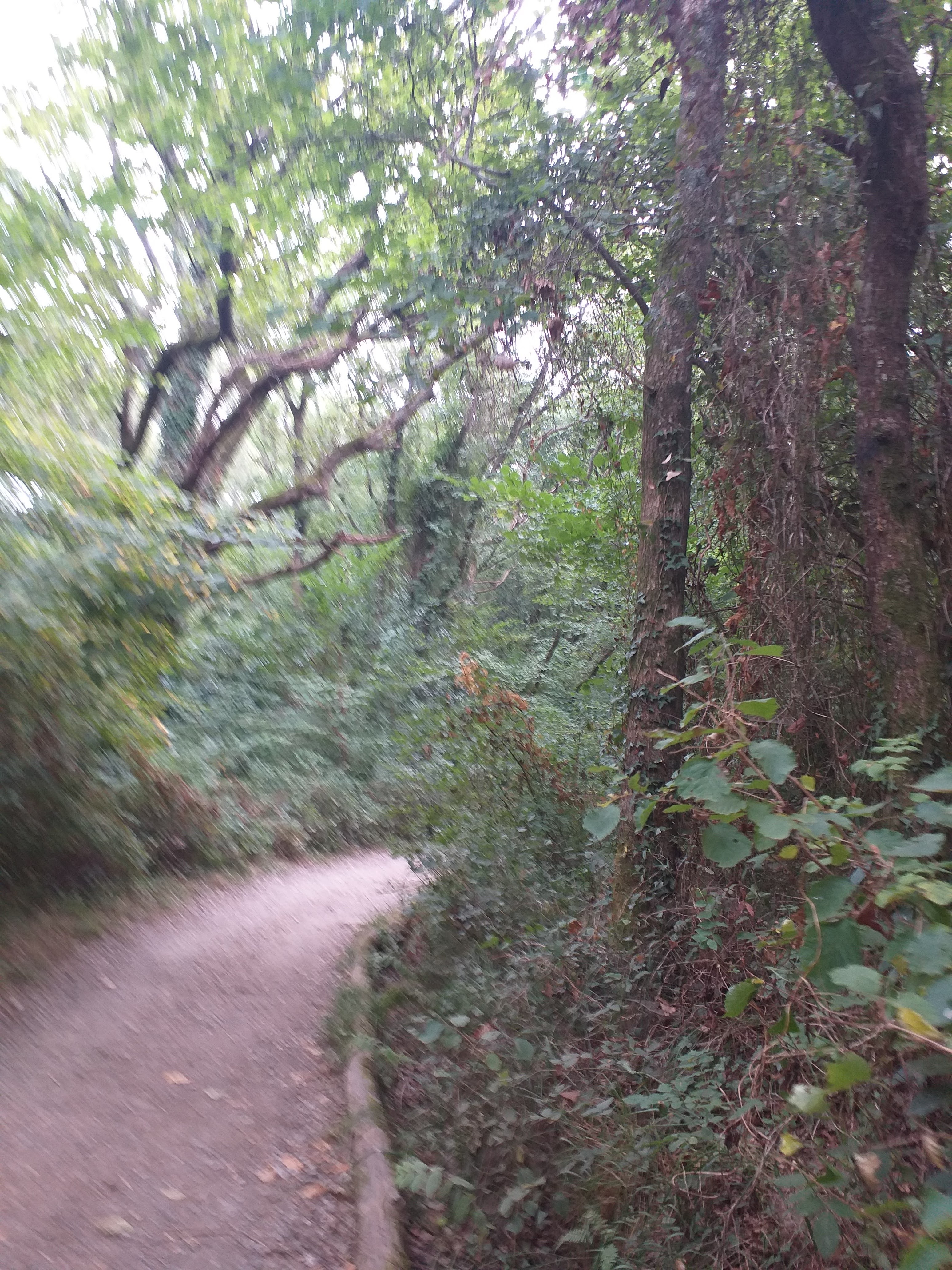 Photo n° 14 de l'avis de Isabel.e fait le 12/08/2022 à 13:40