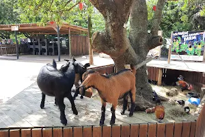 Flag Farm Animal Farm image