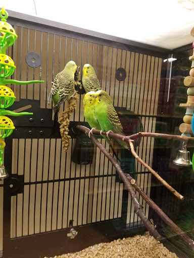 Pet Supply Store «PetSmart», reviews and photos, 7260 Orchard Lake Rd, West Bloomfield Township, MI 48322, USA