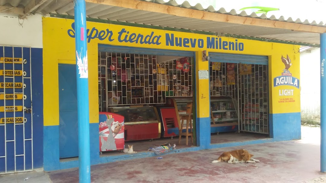 Tienda Nuevo Milenio