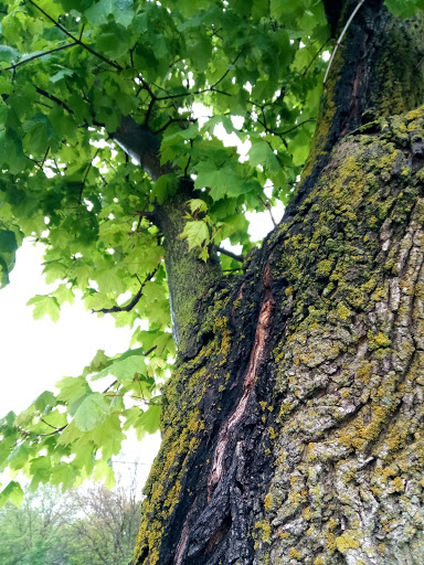 Recreation Center «Meri Lou Murray Recreation Center», reviews and photos, 2960 Washtenaw Ave, Ann Arbor, MI 48104, USA