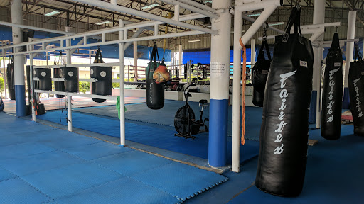 Martial arts gyms in Phuket