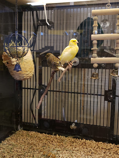 Pet Supply Store «PetSmart», reviews and photos, 159 N Weber Rd, Bolingbrook, IL 60490, USA