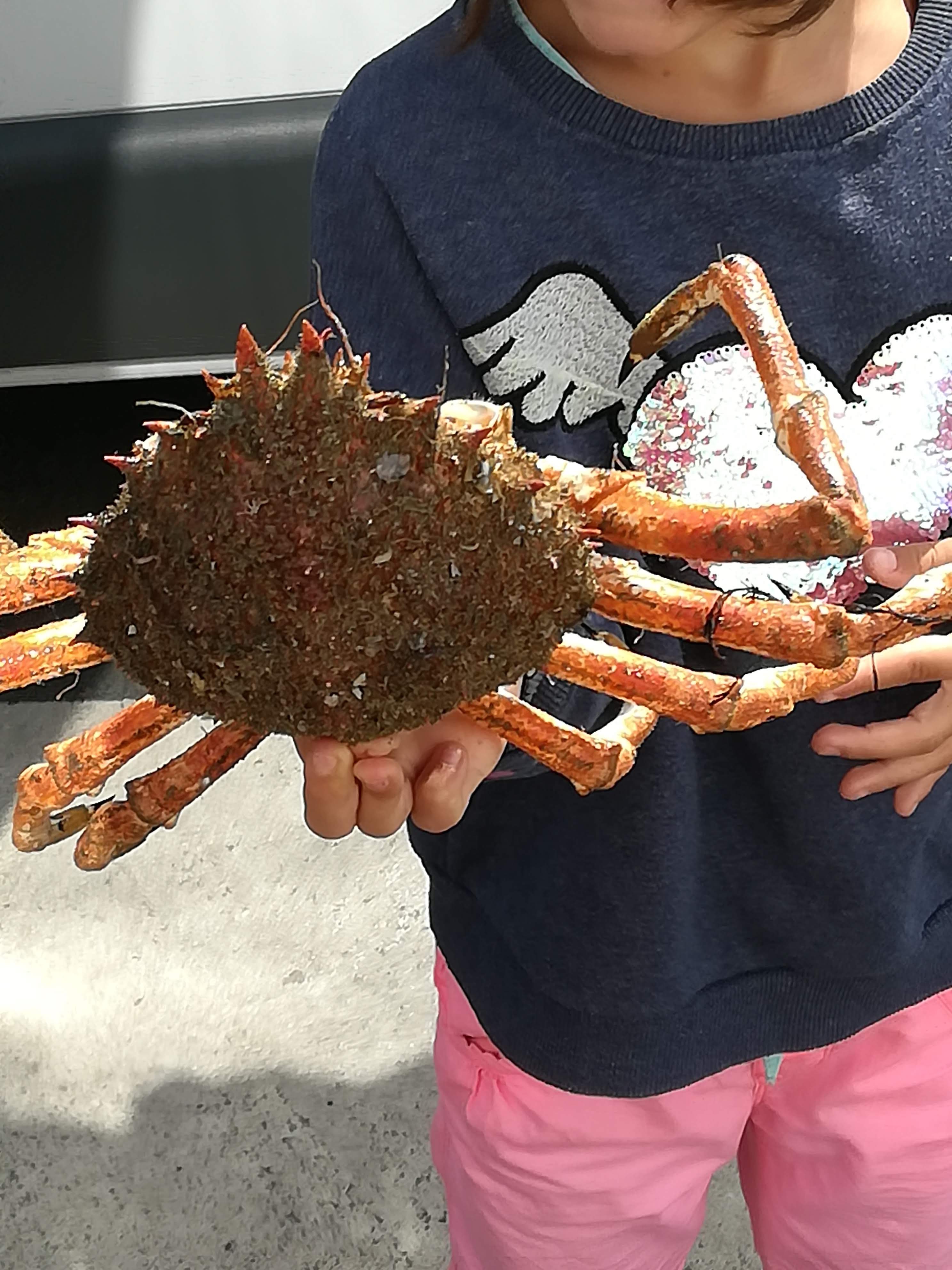 Photo n° 4 de l'avis de Elena.a fait le 25/08/2018 à 20:49