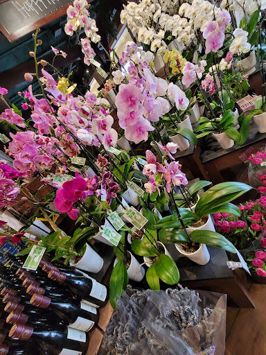 Grocery Store «The Fresh Market», reviews and photos, 3722 Henderson Blvd, Tampa, FL 33609, USA