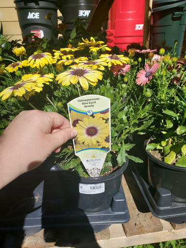 Hardware Store «Ace Hardware», reviews and photos, 19901 1st Avenue South Ste 402, Normandy Park, WA 98148, USA