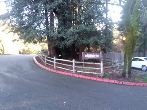 Villa Chanticleer image